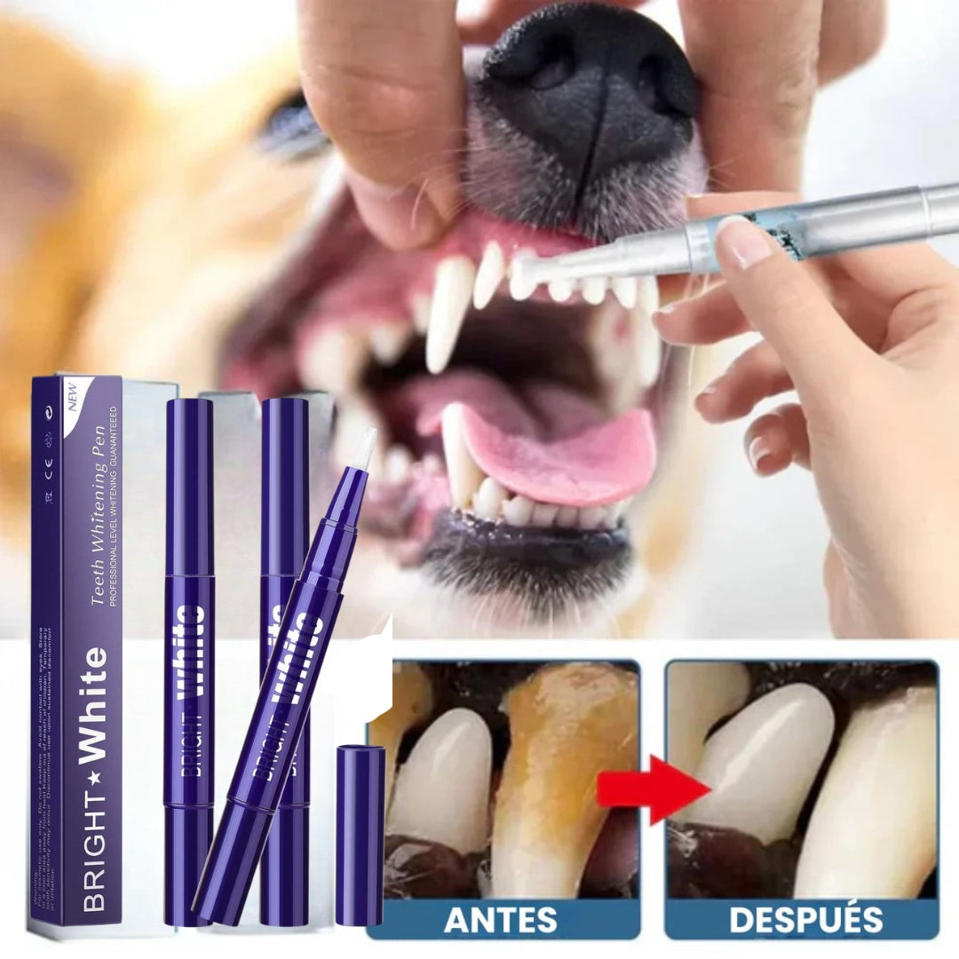 Lápiz Dental Para Perros | Oferta 2x1🦷🐶