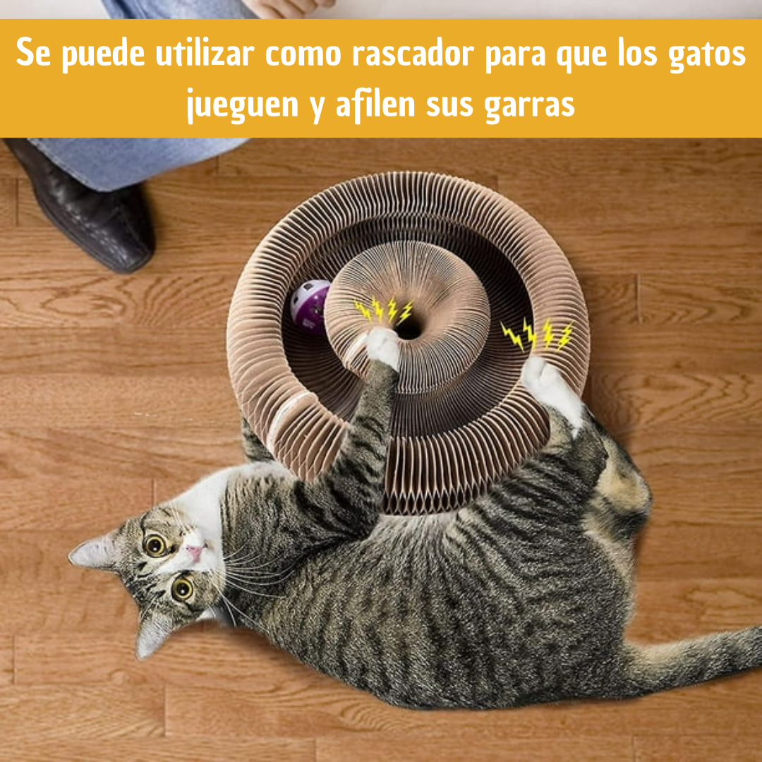 RascaKitty ® Juguete  Rascador Magico 4 funciones en 1😺
