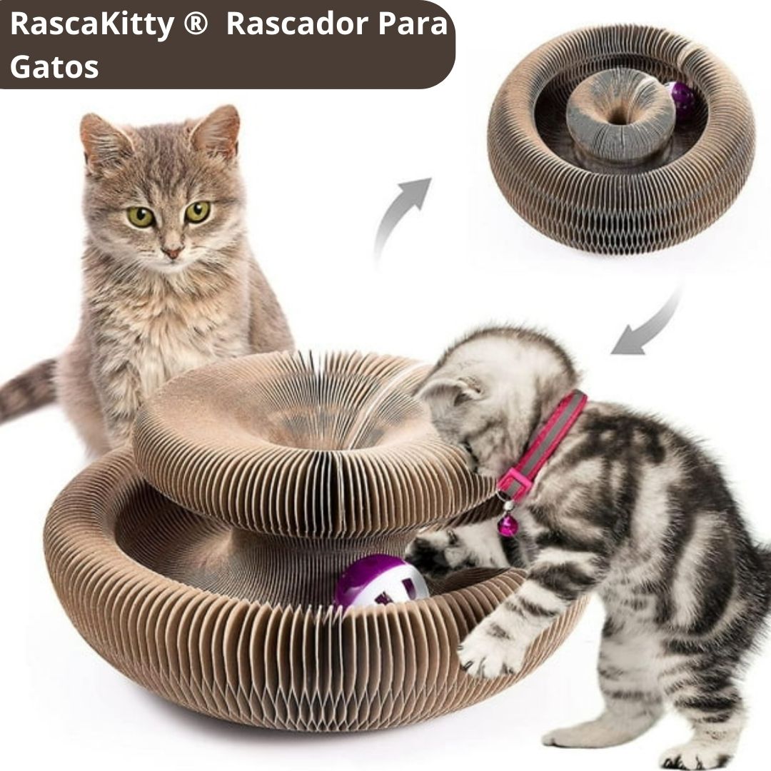 RascaKitty ® Juguete  Rascador Magico 4 funciones en 1😺