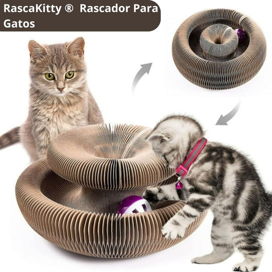 RascaKitty ® Juguete  Rascador Magico 4 funciones en 1😺